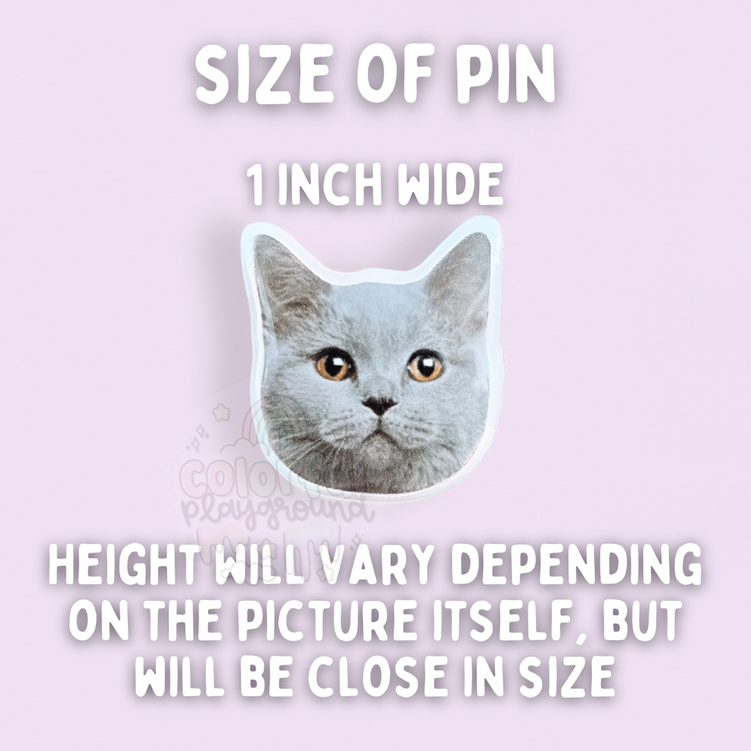 Pin on PET