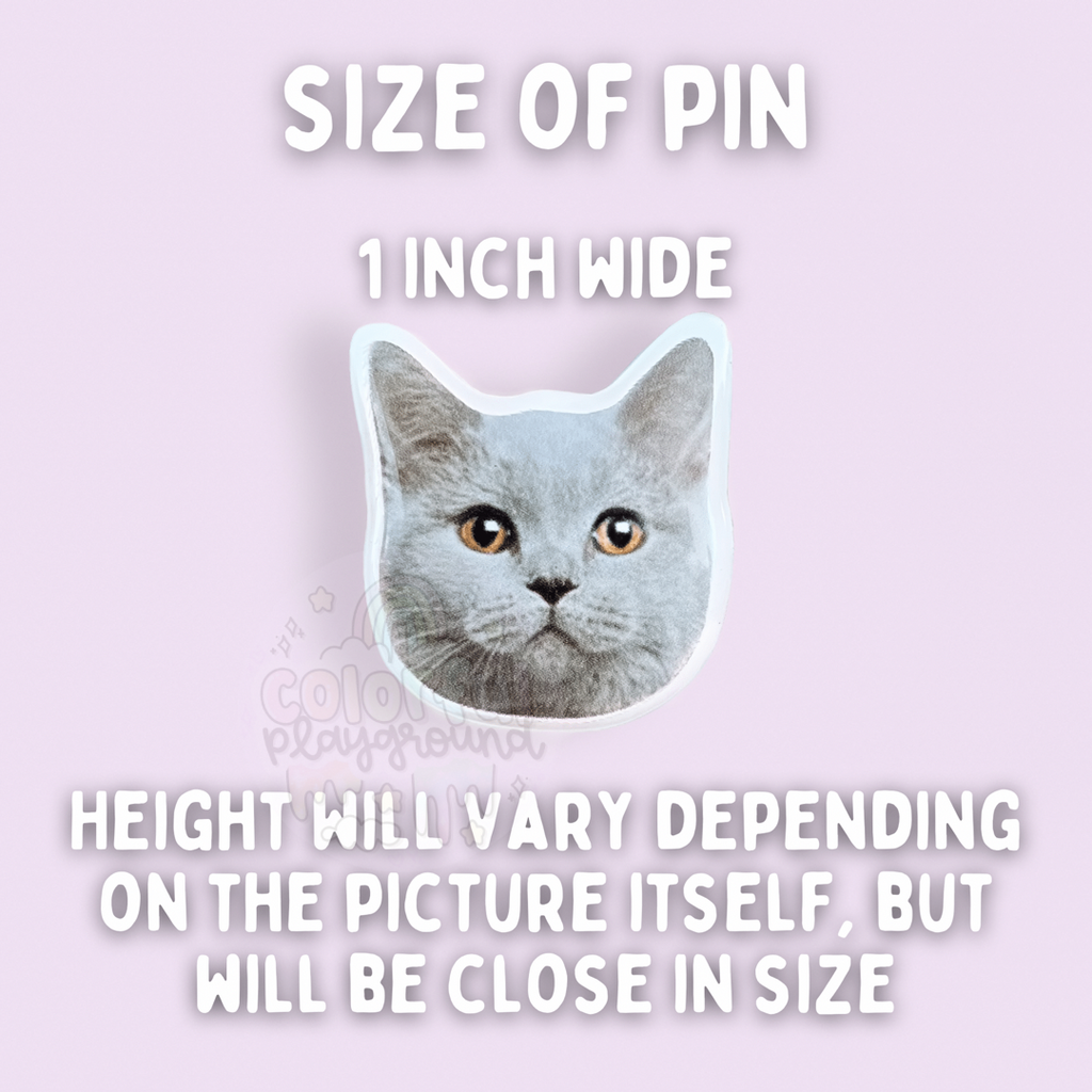 Pin on Pets